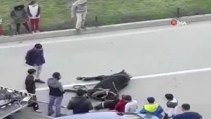 Açlığa Daha Fazla Dayanamayan At Yere Yığıldı