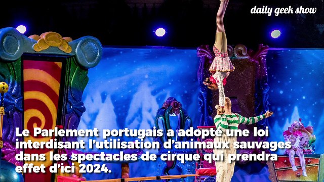 Au Portugal, les animaux sauvages désormais interdits dans les cirques