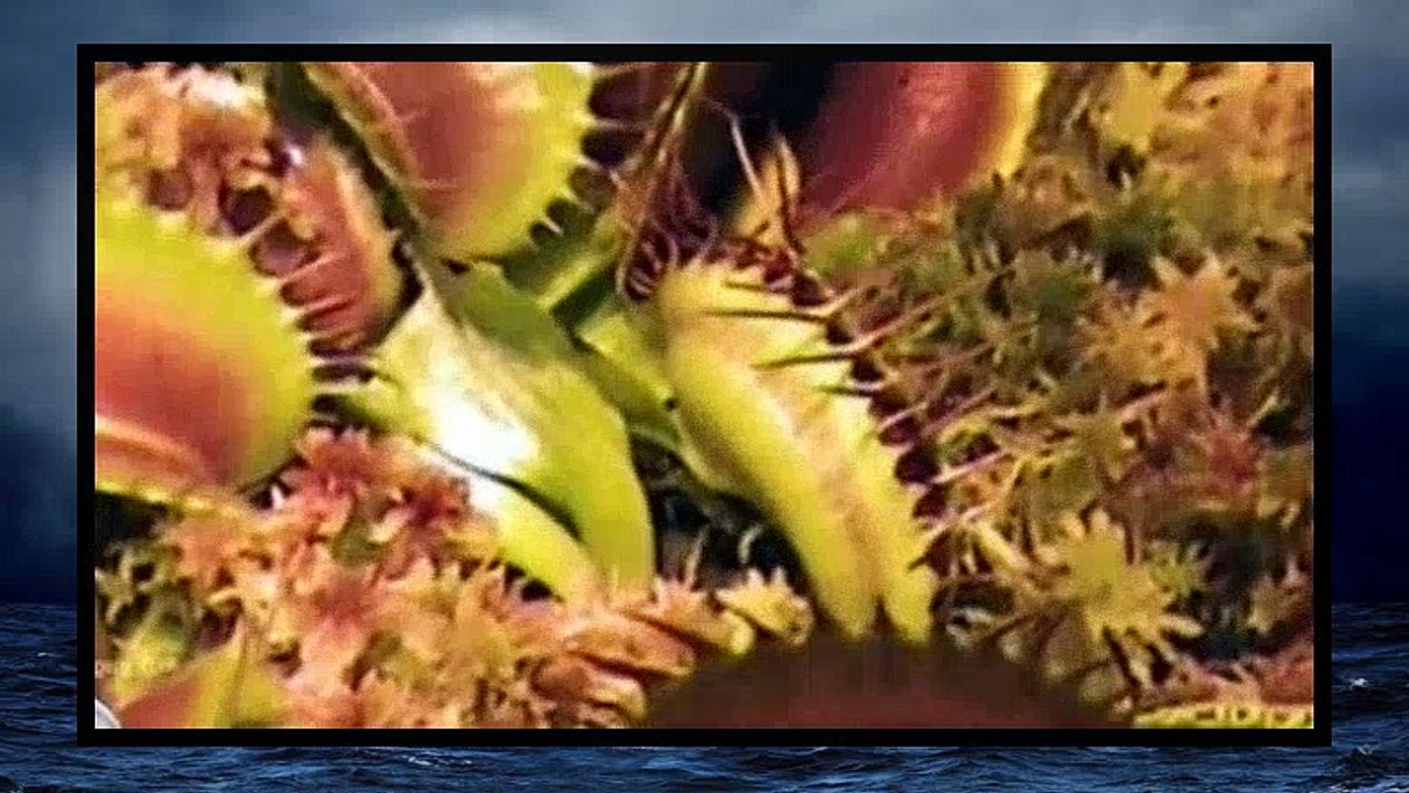 Outrageous Acts Of Science S02E09