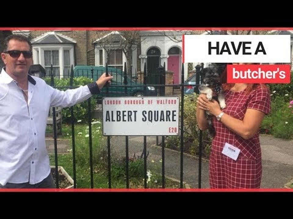 Dog who befriended EastEnders stars crowned Britain's most handsome crossbreed | SWNS TV