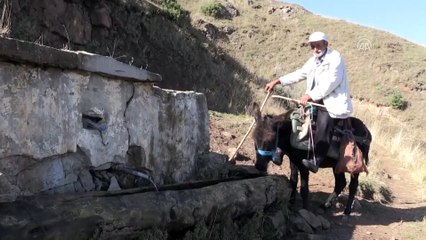 Çobanlıktan kazandığı parayla hacca gidecek - ARTVİN