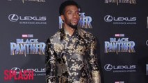 Black Panther to get Hollywood Film Award