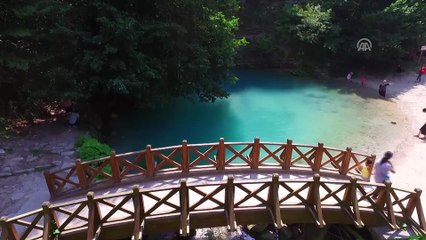 Balık avlayan su samuru ilgi odağı oldu - SİNOP