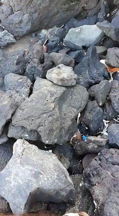 Luis, tras recoger con su ONG 140 kilos de residuos en el Porís: "La basura ya se camufla con la naturaleza"
