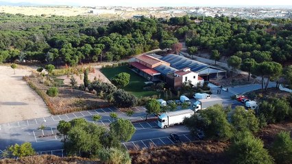 Coca Cola:  Generadores Forbes