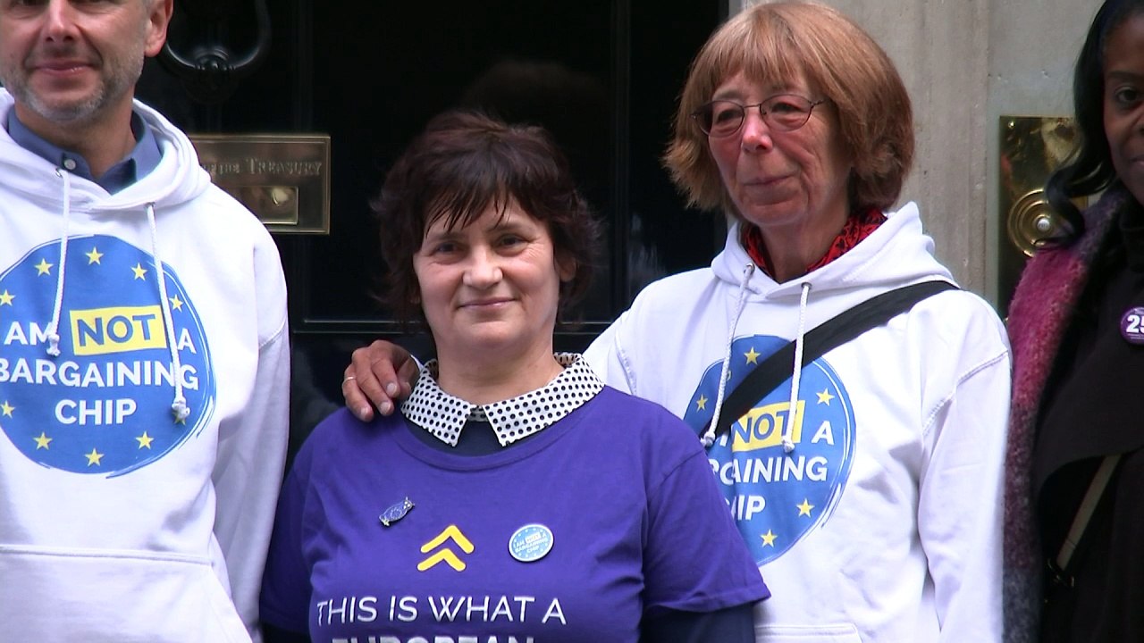 Letter handed to Downing Street demanding EU ci...