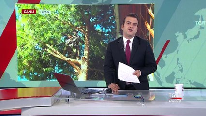 200 Lira İçin Ölümüne Tırmanıyorlar