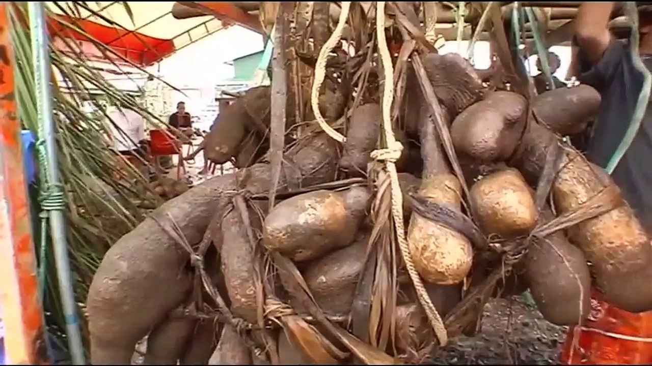 Faitora'a ufi i Ra'iatea Ora_nō_te_mau_motu _P1