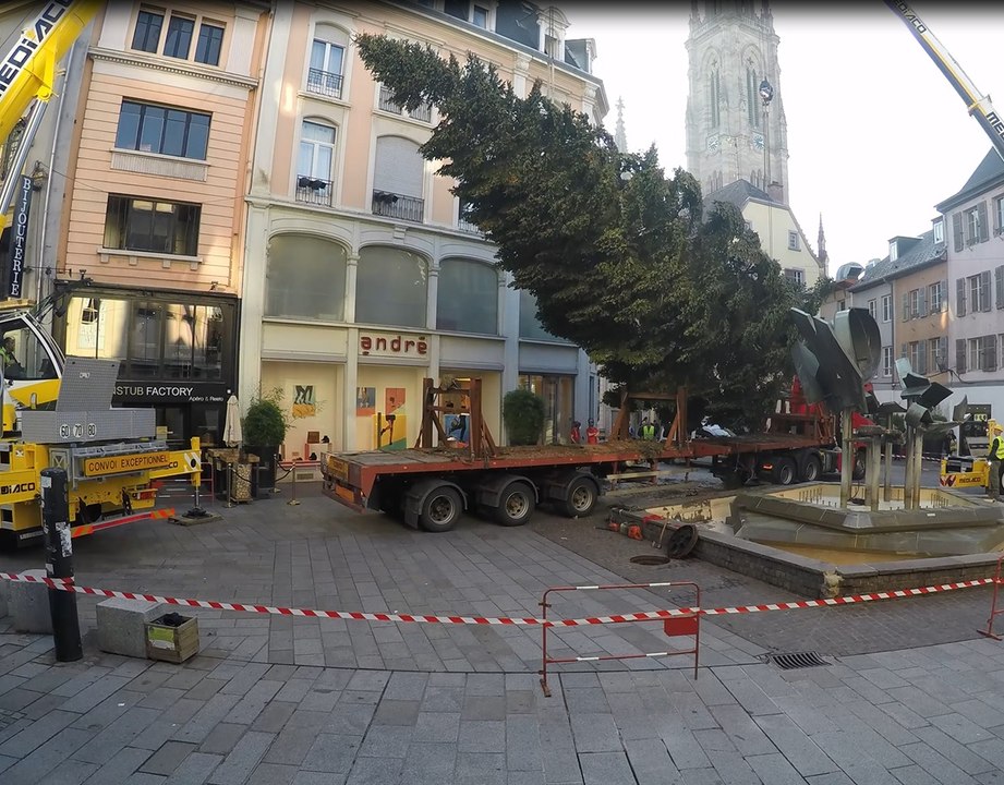 Le montage du grand sapin de Mulhouse en time lapse