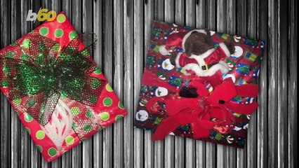 2018's Hottest Holiday Gifts for Kids