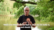 Documentary interview Tai Chi Apeldoorn | Douwe Geluk video part 4