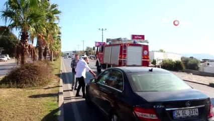 6 Aracın Kaza Yapmasına Neden Olan Kedi Ezilmekten Kurtulamadı