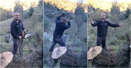 Tuga perde a cabeça com motosserra da STIHL