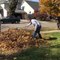 Dad Throws Little Girl into Leaf Pile Upside Down