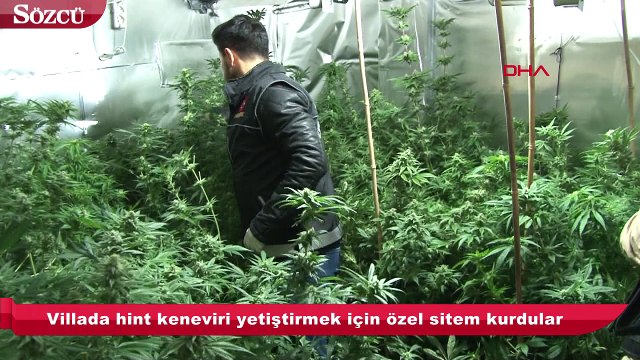 Beykoz'da bir villaya uyuşturucu baskını