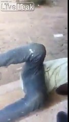 Vrai ou Fake ? Il souffre de pets douloureux !