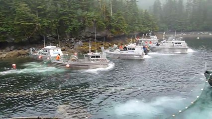 Ouverture de la pêche au saumon à 8h00 - Alaska