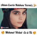 Mehmet Welat Ez u Tu