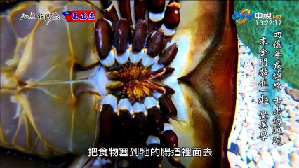 MIT台灣志 20181104 台灣綜藝節目