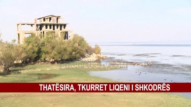 THATËSIRA, TKURRET LIQENI I SHKODRËS