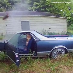 I don't even own a car but these hornets do Credit: storyful