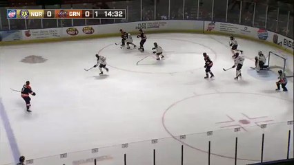 ECHL Norfolk Admirals 0 at Greenville Swamp Rabbits 0