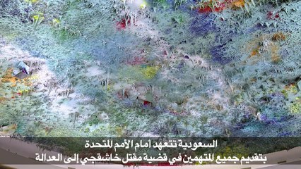 وضع حقوق الإنسان في السعودية تحت مجهر الأمم المتحدة