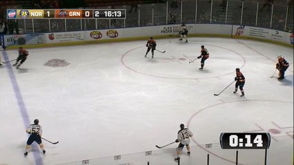 ECHL Norfolk Admirals 3 at Greenville Swamp Rabbits 1