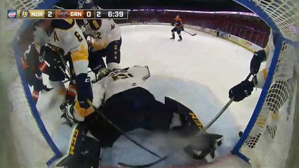 ECHL Norfolk Admirals 3 at Greenville Swamp Rabbits 2