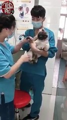 I don't like! Why compelled me? Haha. :V :V Source: Tiktok