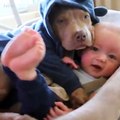 Babies and puppies - Warning: Cuteness overload!   