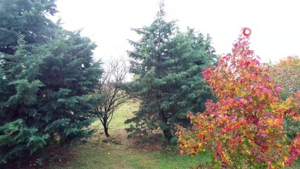 İstanbul'da mest eden sonbahar manzarası havadan görüntülendi