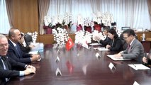 Dışişleri Bakanı Çavuşoğlu, Japonya Ekonomi, Ticaret ve Sanayi Bakanı Sekon ile Görüştü