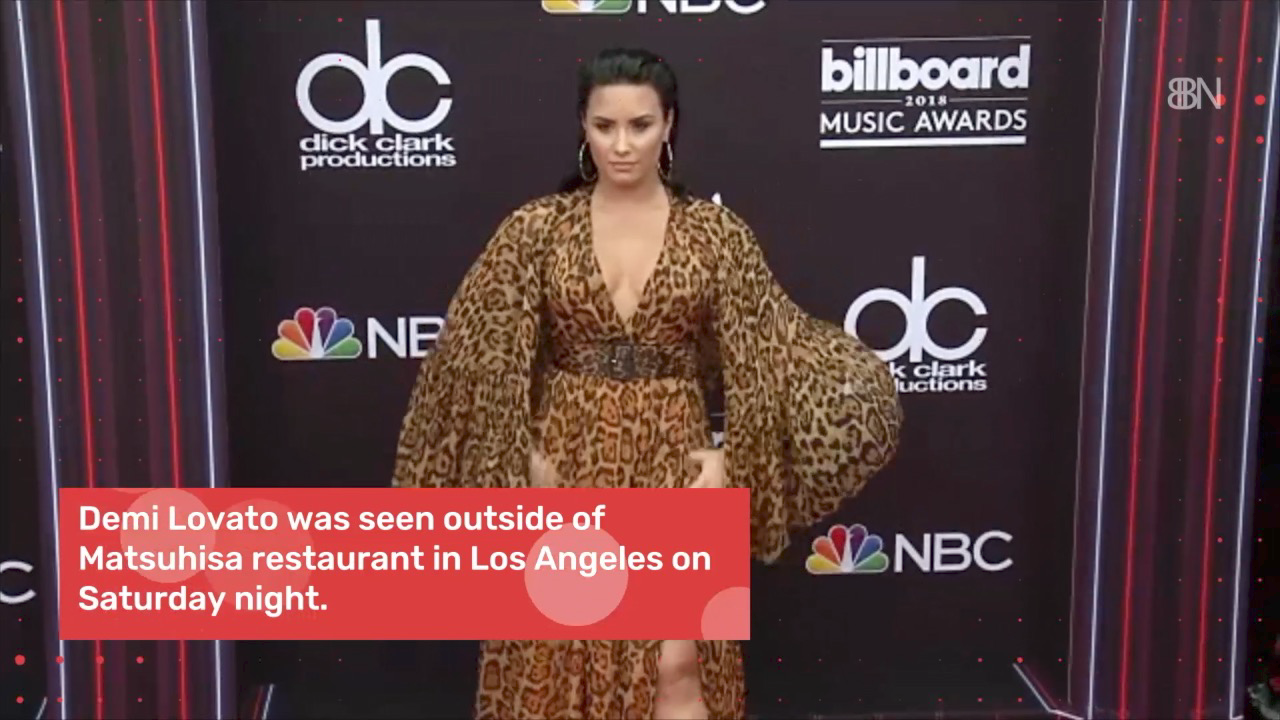 Demi Lovato Is Out Of Rehab And Back In Circulation