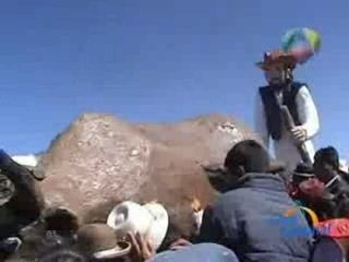 EL SANTO DE LOS AGRICULTORES - JULIACA