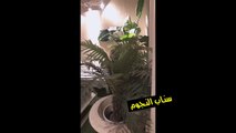 فيديو رد فعل هنادي الكندري بعد حكم المحكمة بقضيتها ضد أحد رجال الشرطة