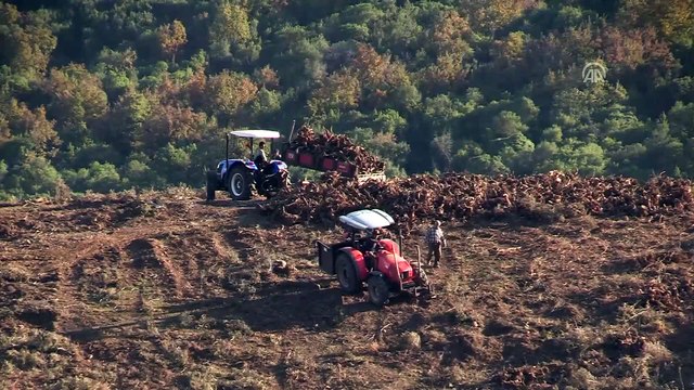 Turizm bölgesinde çöpten elektrik enerjisi üretecekler - ÇANAKKALE