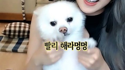 진천출장마사지 - { 카톡 MSG5588 } ⊀Ö7Ô-5180-1616⊁ 진천출장안마'20대' 진천출장안마 출장안마코스 진천출장안마 진천출장마사지-황제 진천출장마사지- 진천콜걸.