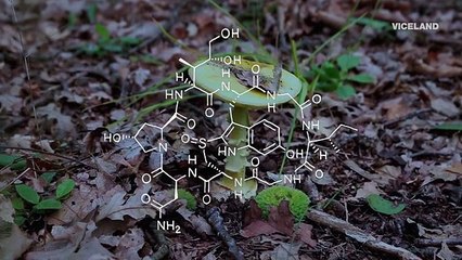 Hamiltons Pharmacopeia S02e07