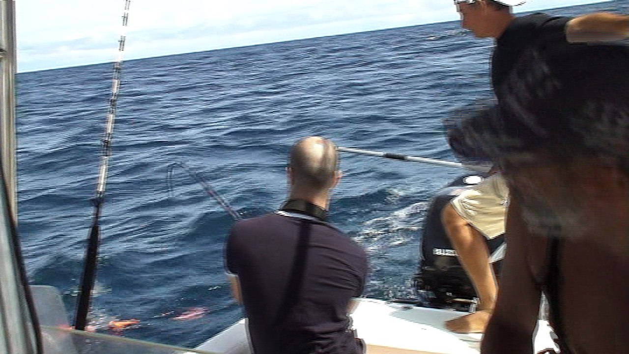 peche aux seychelles^^