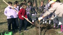 Şehrin stresinden uzakta kendi sebze meyvelerini yetiştiriyorlar