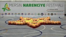 Mersin, Narenciye Festivali'ne Hazırlanıyor