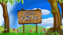 wild facts about snakes