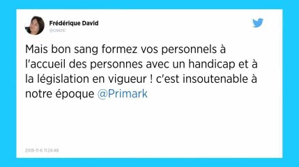 Toulouse. Handicapé, il se voit refuser l’accès à Primark à cause de son chien d’assistance.