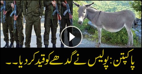 Pakpattan: Police imprisons a donkey