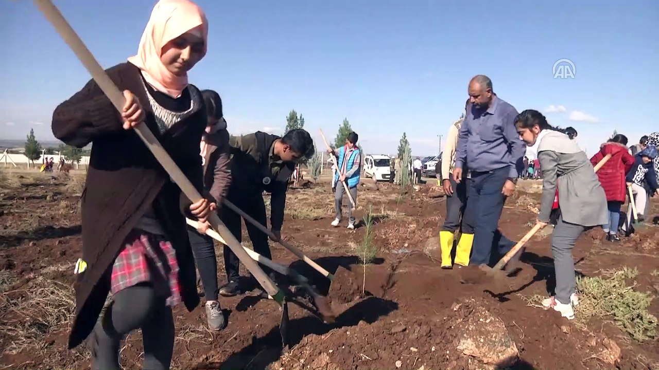 'Fidanlar Fidanlarla Büyüyor' projesi - DİYARBAKIR