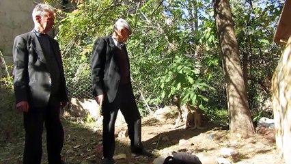 Sahipsiz anne köpeğe mahalle esnafı sahip çıktı - AFYONKARAHİSAR