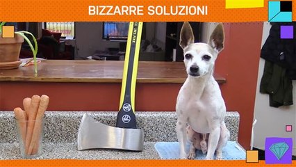 Formidabili soluzioni ai problemi quotidiani