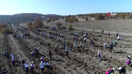Fidanlar Fidanlarla Büyüyor' Projesi ile Bin Fidan Toprakla Buluştu.