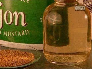 How its made-mustard